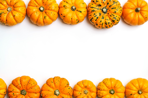 Pumpkins on white isolated background. Yellow autumn harvest pumpkins on empty backdrop. Fall holidays, halloween, thanksgiving day, food concept. High quality photo
