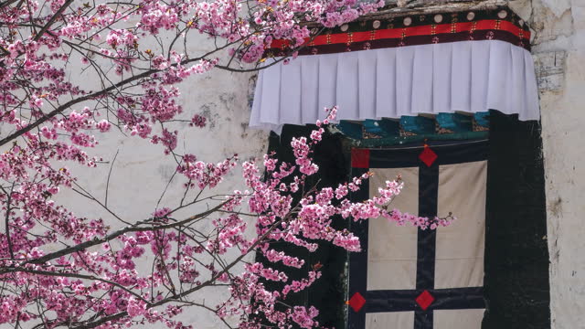 Peach Blossoms in Tibetan Buddhism