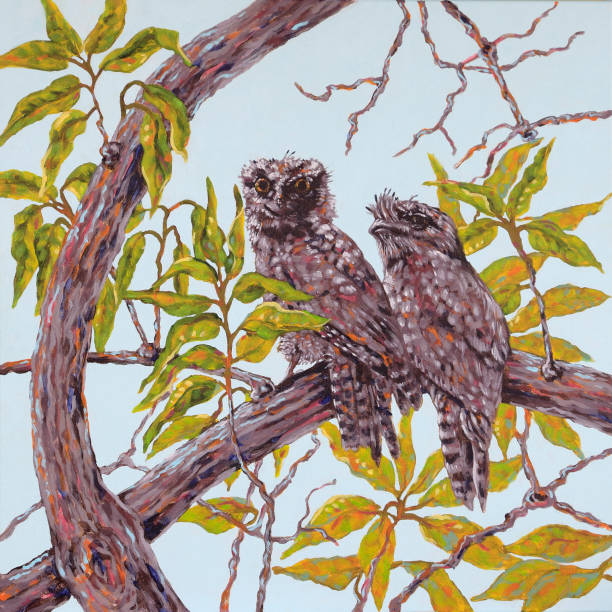 Tawny Frogmouth Podargus strigoides Birds Perched on a Branch Acrylic Painting vector art illustration