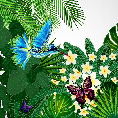 Tropical floral design background with bird, butterflies.