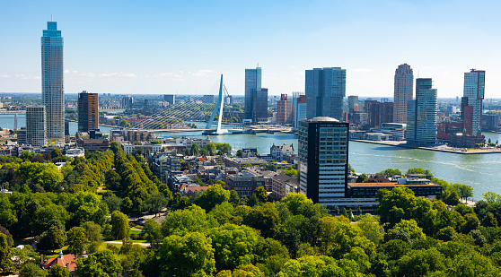 View from drone of Rotterdam city overlooking modern districts with high skyscrapers and Erasmus cable-stayed bridge across Nieuwe Maas river on sunny summer day, Netherlands