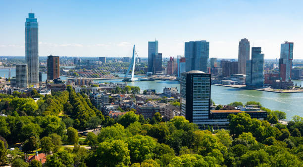 View from drone of Rotterdam city with modern districts and Erasmus cable-stayed bridge stock photo