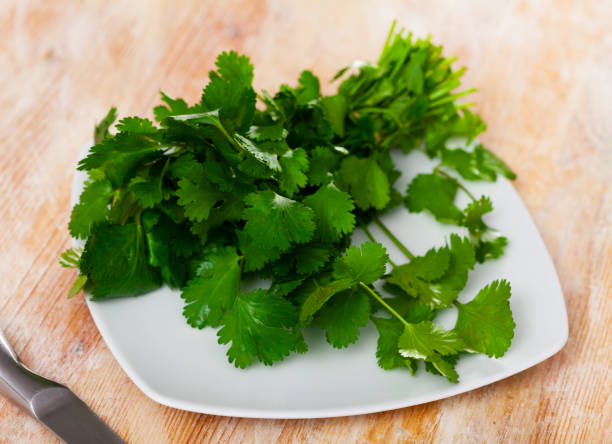 istock Fresh bunch of cilantro on a white plate 1432432482