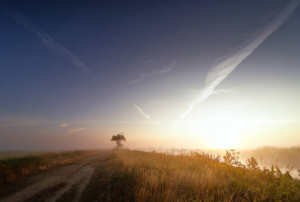 istock Sunrise in the fog 1432435112