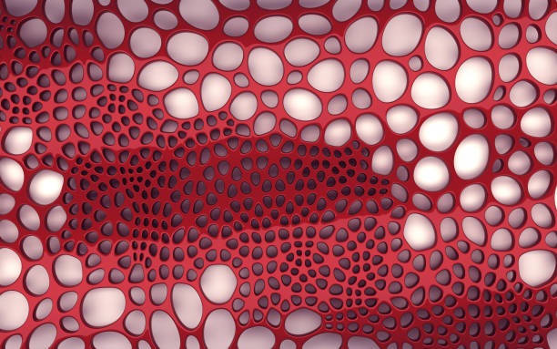3D red organic tissue shaped pattern background slice. stock photo