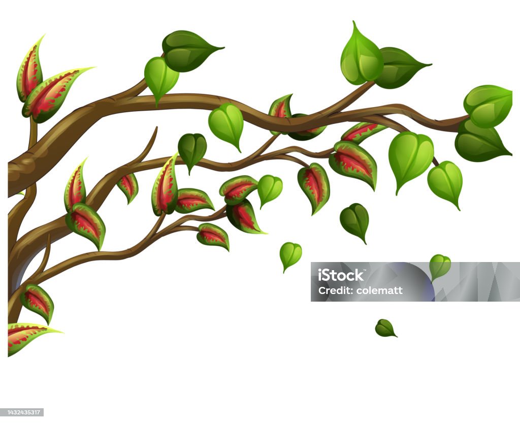 Visual Tree Branch Tree Branch Isolated On White Background Stock Illustration - Download ...