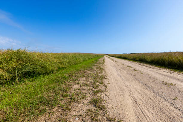 istock Gravel highway in rural areas 1432438176