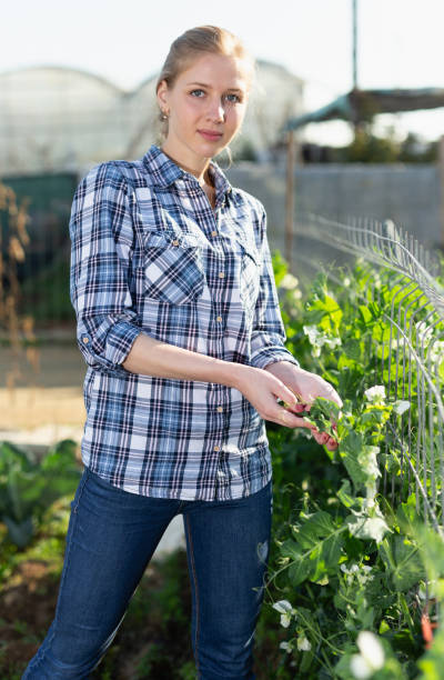 istock Woman working in garden 1432443240