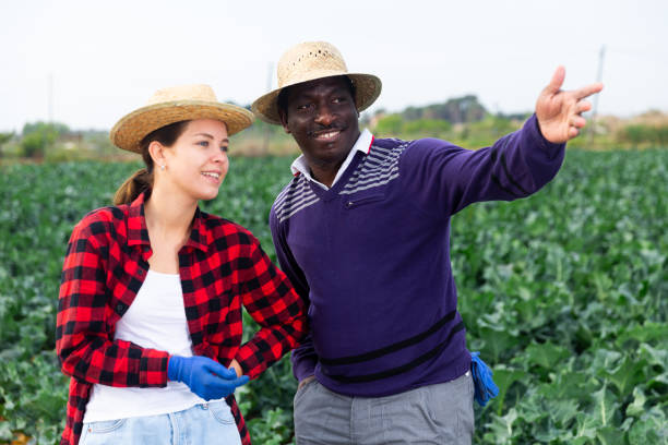 portrait d’un homme et d’un woma fermier debout dans un champ agricole par une journée ensoleillée - leaving business landscape men photos et images de collection