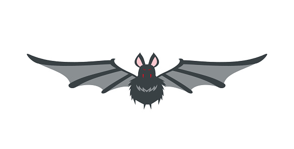 Close-up of Halloween flying bat, isolated on white.