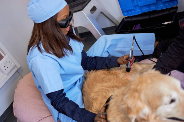 laser treatment - doctors office examination room examination table office imagens e fotografias de stock