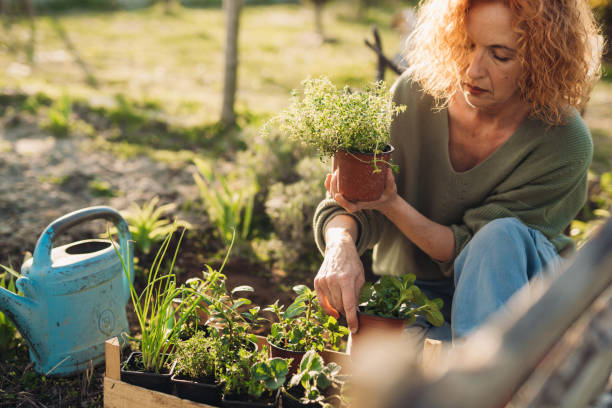istock woman gardening backyard 1432452289