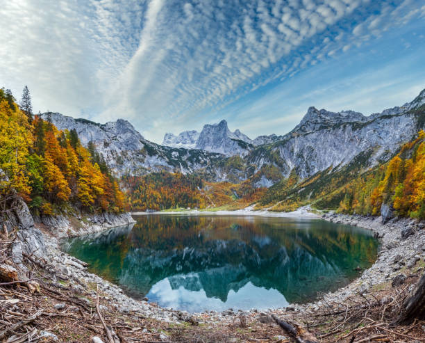 istock Tree stumps after deforestation near Hinterer Gosausee lake, Upper Austria. Autumn Alps mountain lake with clear transparent water and reflections. Dachstein summit and glacier in far. 1432455663
