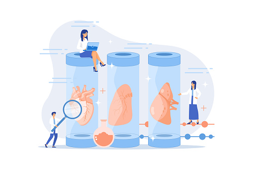 Growing body parts in science laboratory. Great scientific achievement, success Lab-Grown Organs, bioartificial organs, artificial organ concept. flat vector modern illustration