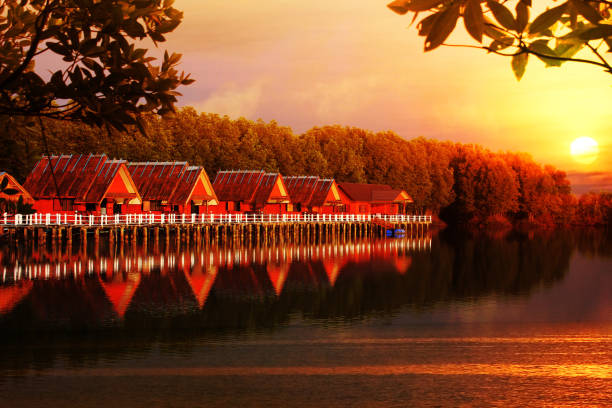 istock water front hut in mangroves with sun set view landscape nature background 1432456177