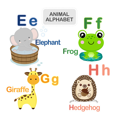 English alphabet with cute animals vector illustration.