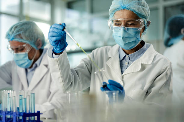 istock Mature scientist working on antiviral drug in laboratory. 1432461665