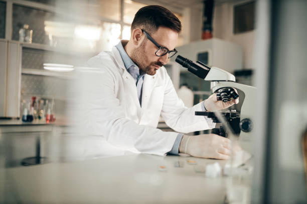 istock Young male chemist adjusting his sample on a microscope in laboratory. 1432462526