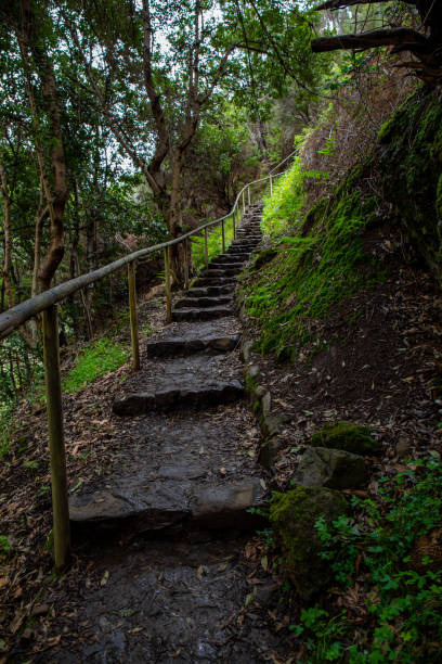 istock The Levada do Moinho to Levada Nova waterfall hike 1432463002