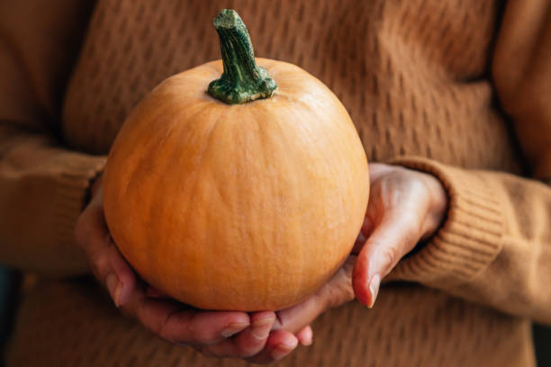 istock woman hands holding orange pumpkin 1432464368
