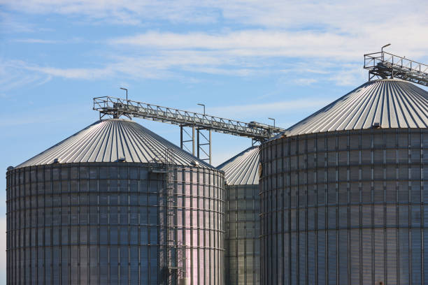 Building for storage and drying of grain crops. Agricultural Silo. stock photo