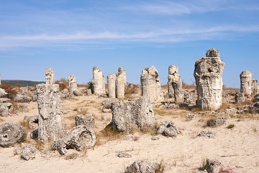 Pobiti Kamani, The Stone Forest Natural Reserve near Varna in Bulgaria, summer day