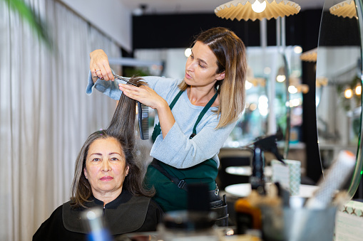 Focused young woman hairdresser cutting hair of elderly female client with scissors in modern hair salon