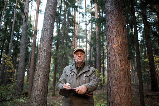 hombre silvicultor realiza monitoreo en el parque nacional de pinos. protección del medio ambiente. industria forestal photo
