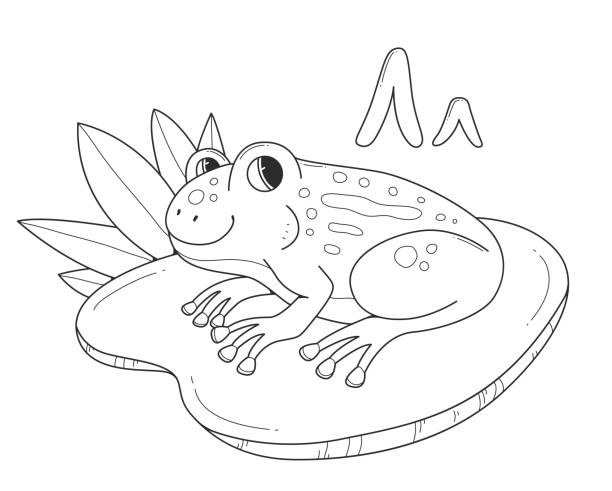 Frog coloring book with russian large and small letters L. Children's coloring page alphabet. Linear illustration with an animal. Frog coloring book with russian large and small letters L. Children's coloring page alphabet. Linear illustration with an animal cartoon of a frog black and white stock illustrations