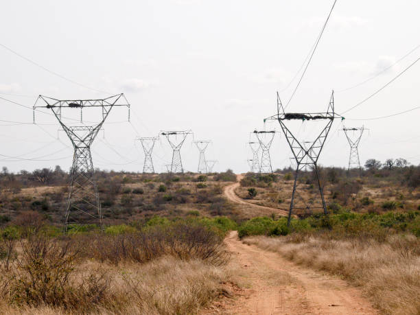 istock Electrical Overhead Transmission Lines in the African Bush 1432469525