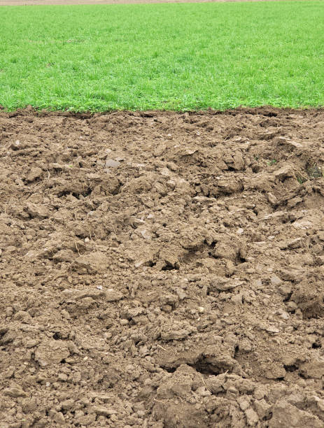 istock Lawn and plowed earth right next to each other in autumn time 1432471721