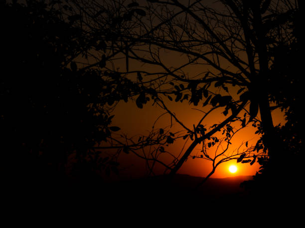 istock Golden Senset Sky Peaceful Colorful with Shadow Tree Leaves Background 1432475190