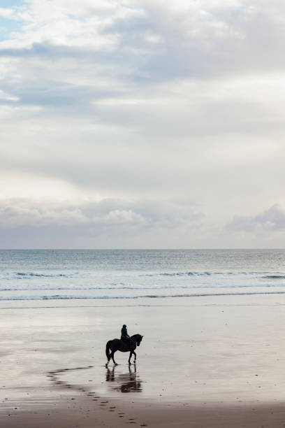 Horse Back Riding at the Coast