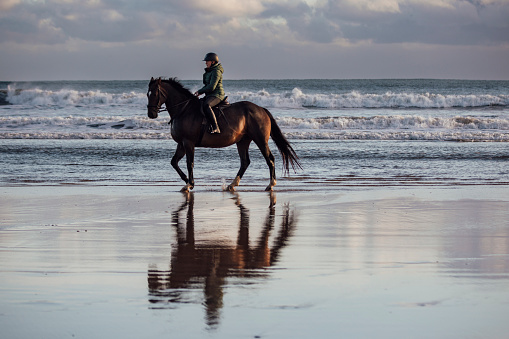 Wide shot side view of a woman horseback riding along the beach in the North East of England. The scene is tranquil and calm.  The horse is walking through the water and the reflection of the two is showing on the sand.