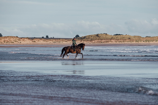 Wide shot side view of a woman horseback riding at beach in the North East of England. Her horse is splashing through the ocean while she controls the ride.