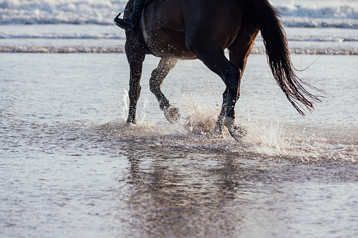 Low angle shot of an unrecognisable woman horseback riding at beach in the North East of England. Her horse is splashing through the ocean while she controls the ride.  Focused on the horses legs while she is not visible.