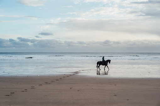 Cape Town, South Africa - March 12, 2022: Jockeys excercise race horses on the beach at Noordhoek, a Cape Town suburb on the Atlantic Ocean, just after dawn.