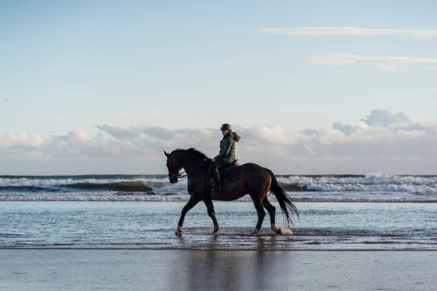 Wide view side shot of a woman horseback riding along the beach in the North East of England. The scene is tranquil and calm.