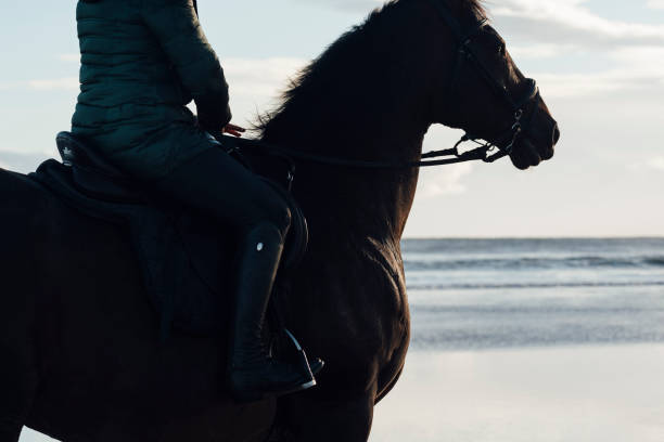 istock Riding her Horse by the Sea 1432481167