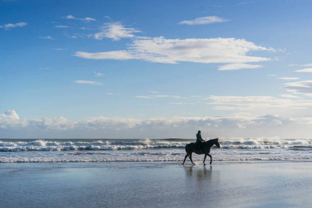 istock Dedicated to Horseback Riding 1432481210