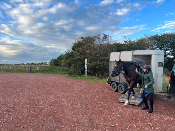 Horseback Riding in a Rural Area