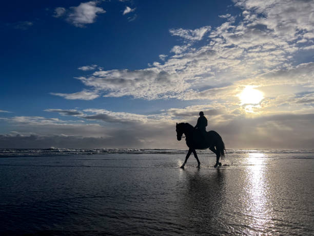 istock Starting the Day with her Horse 1432481309
