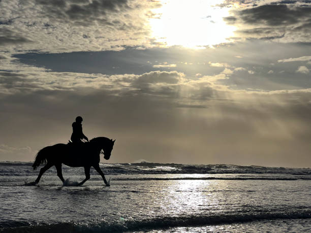 istock Seeing the Sun Rise on her Horse 1432481316