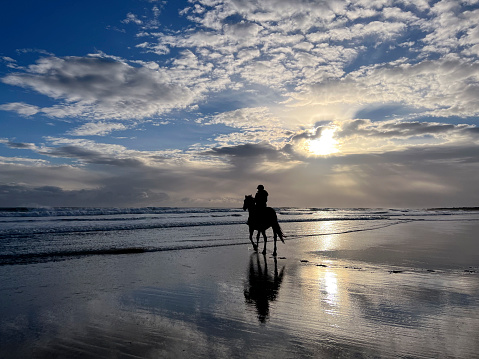 Horse and dog running on the beach