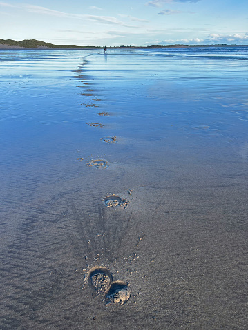 close up of footprints on the beach with golden sand