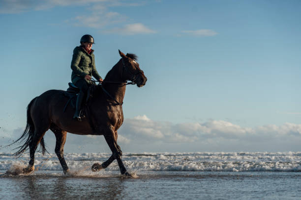 istock Proud Horse Owner 1432483517