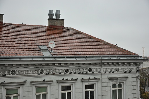 , Austria: A closeup shot of the roof of a classic old Viennese apartment house, Vienna, Austria