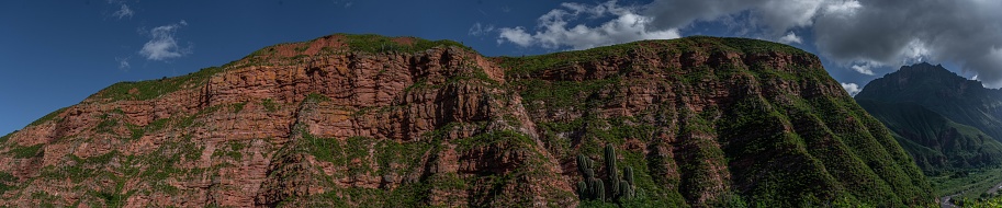 A panorama of a cliff with greenery and cloudy sky above