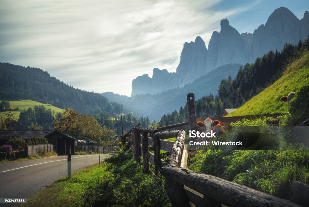 Village across a road with a caw sitting on the field and mountains in the background A village across a road with a caw sitting on the field and mountains in the background Agricultural Field Stock Photo