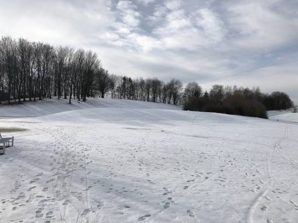 istock Snowy landscape of a forest with leafless trees in the background under cloudy sky 1432488040
